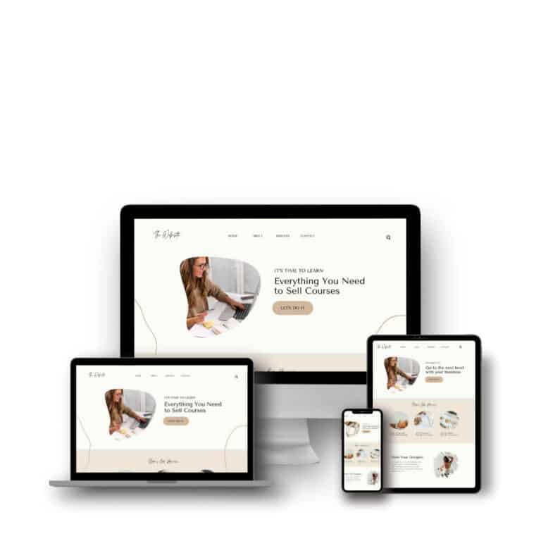 What is a WordPress Theme?